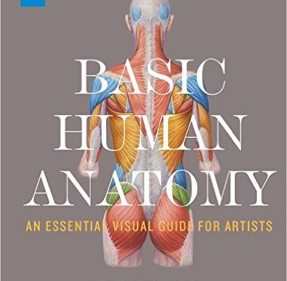 Basic Human Anatomy An Essential Visual Guide For Artists by Roberto Osti