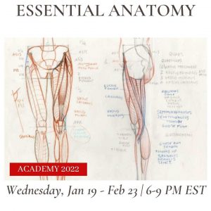 Essential Anatomy